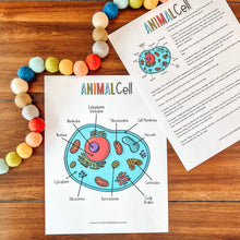 Load image into Gallery viewer, Cell Anatomy Printable Activity Set
