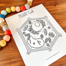 Load image into Gallery viewer, Plant Cell Printable Activity Set