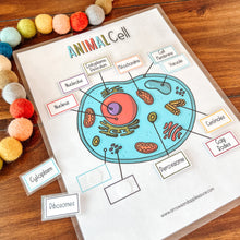 Load image into Gallery viewer, Animal Cell Printable Activity Set