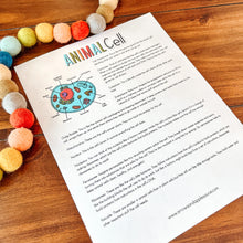 Load image into Gallery viewer, Animal Cell Printable Activity Set