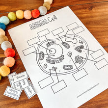 Load image into Gallery viewer, Animal Cell Printable Activity Set
