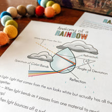 Load image into Gallery viewer, The Noahic Covenant Activity + Study Set