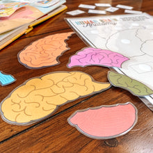 Load image into Gallery viewer, Human Brain Anatomy Printable Puzzle