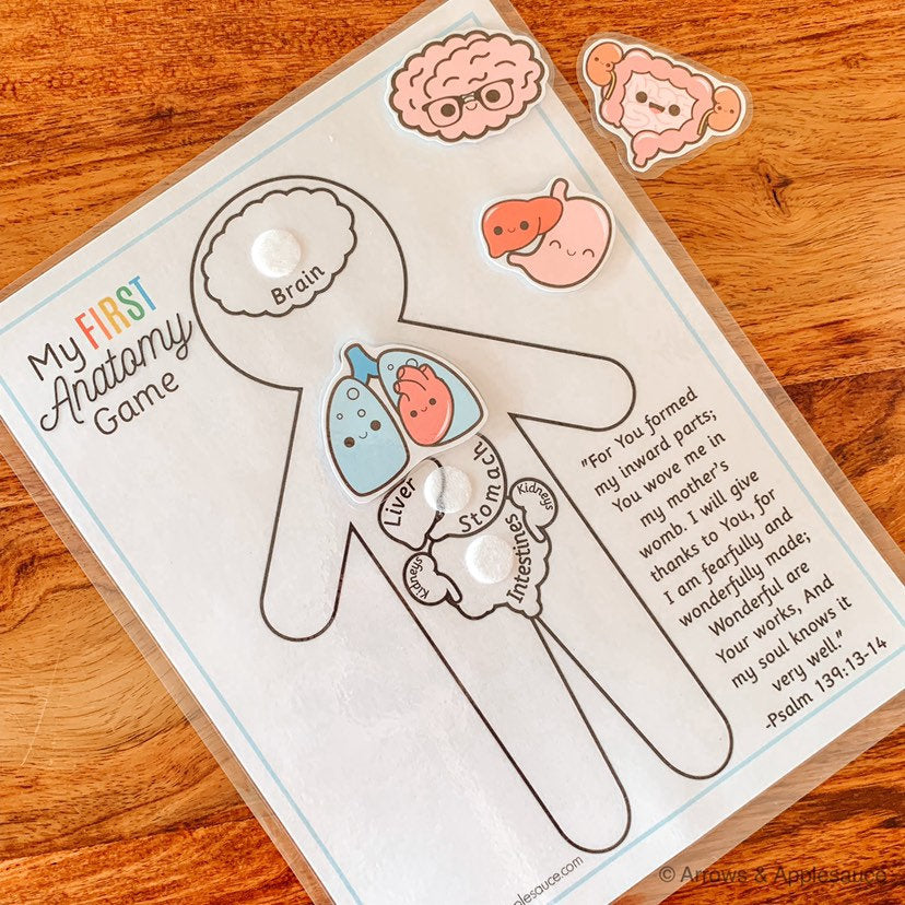 Preschool "My First" Anatomy Printable – Arrows And Applesauce