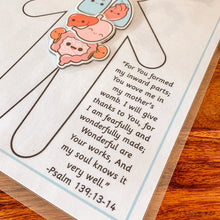Load image into Gallery viewer, Preschool "My First" Anatomy Printable - Arrows And Applesauce