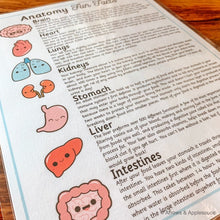 Load image into Gallery viewer, Preschool "My First" Anatomy Printable - Arrows And Applesauce