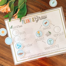 Load image into Gallery viewer, Plant Life Cycle Printable Activity - Arrows And Applesauce