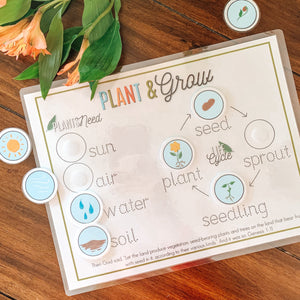 Plant Life Cycle Printable Activity - Arrows And Applesauce