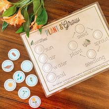 Load image into Gallery viewer, Plant Life Cycle Printable Activity - Arrows And Applesauce