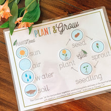 Load image into Gallery viewer, Plant Life Cycle Printable Activity - Arrows And Applesauce