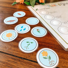 Load image into Gallery viewer, Plant Life Cycle Printable Activity - Arrows And Applesauce