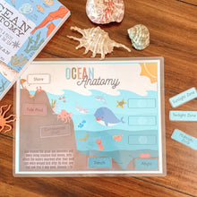 Load image into Gallery viewer, Ocean Zones &amp; Anatomy Printable - Arrows And Applesauce
