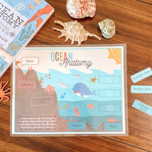 Load image into Gallery viewer, Ocean Zones & Anatomy Printable - Arrows And Applesauce