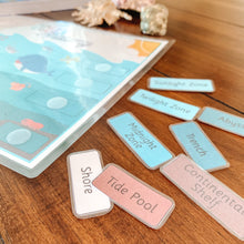 Load image into Gallery viewer, Ocean Zones & Anatomy Printable - Arrows And Applesauce