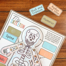 Load image into Gallery viewer, Skeleton Anatomy Printable Activity - Arrows And Applesauce
