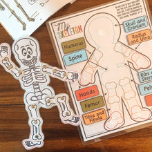 Load image into Gallery viewer, Skeleton Anatomy Printable Activity - Arrows And Applesauce