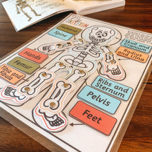 Load image into Gallery viewer, Skeleton Anatomy Printable Activity - Arrows And Applesauce