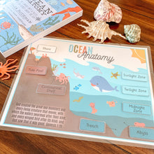 Load image into Gallery viewer, Ocean Zones & Anatomy Printable - Arrows And Applesauce