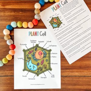 Plant Cell Printable Activity Set