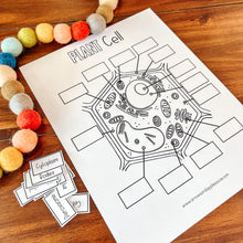 Load image into Gallery viewer, Plant Cell Printable Activity Set
