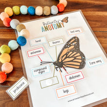 Load image into Gallery viewer, Monarch Butterfly Printable Life Cycle + Anatomy Set
