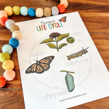 Load image into Gallery viewer, Monarch Butterfly Printable Life Cycle + Anatomy Set
