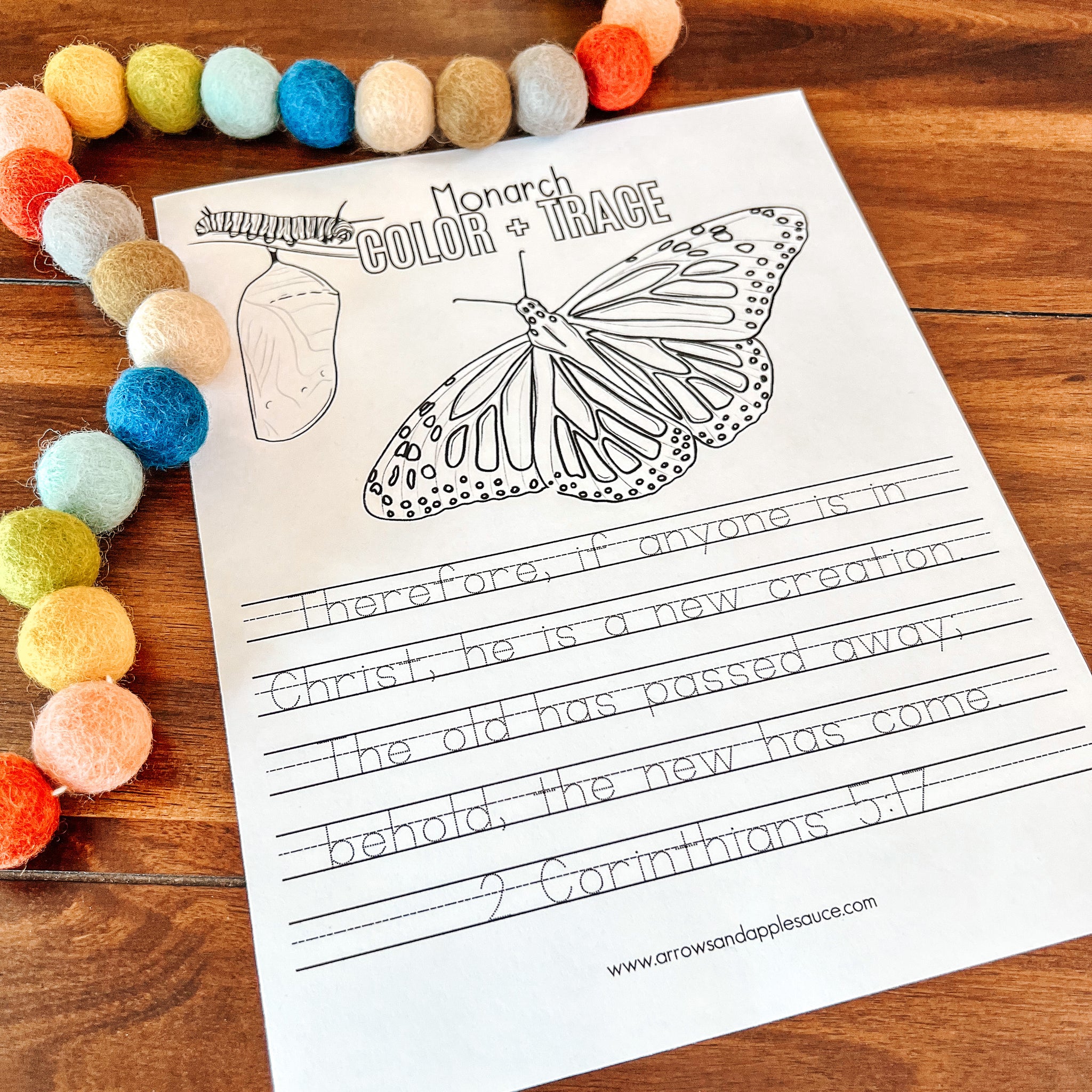 Monarch Butterfly Printable Life Cycle Anatomy Set Arrows And Monarch butterfly printable life cycle anatomy set arrows and