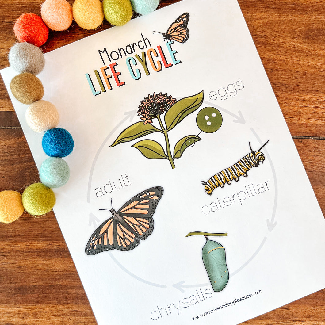 Monarch Butterfly Printable Life Cycle + Anatomy Set