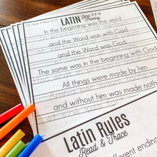 Load image into Gallery viewer, Printable Latin Worksheets- John 1:1-7 - Arrows And Applesauce
