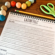 Latin Declension Noun Endings Printable Worksheets- CC Cycle 1