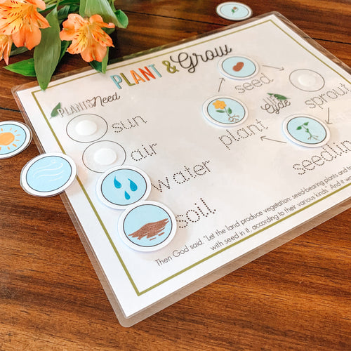 Plant Life Cycle Printable Activity - Arrows And Applesauce