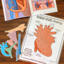 Load image into Gallery viewer, Human Heart Anatomy Printable Activity &amp; Vocabulary - Arrows And Applesauce
