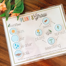 Load image into Gallery viewer, Plant Life Cycle Printable Activity - Arrows And Applesauce

